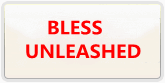 BLESS UNLEASHED 通貨購入