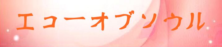 エコーオブソウル(EOS) 通貨購入