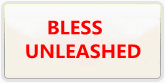 BLESS UNLEASHED 通貨売却